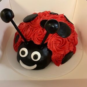 Meet your Posher, Dorothy